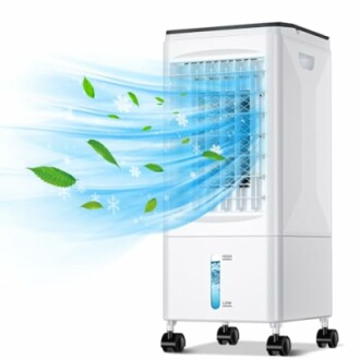 Portable air cooler with airflow and leaves illustration